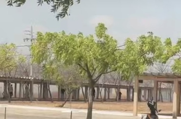 Incêndio atinge vegetação às margens da BR-230 e provoca correria na UFCG, em Sousa