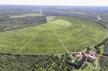 Transposição inicia contratação de sistemas de irrigação em Vilas Produtivas Rurais de São José de Piranhas e Cajazeiras