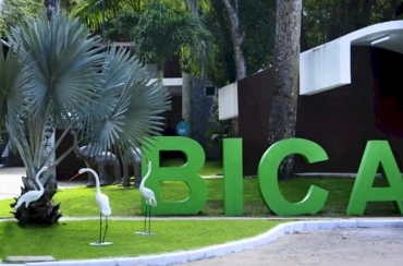 TRAGÉDIA: homem morre após invadir jaula e ser atacado por leoa na Bica, em João Pessoa