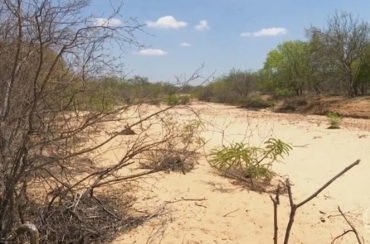Seca avança e Paraíba registra mais 13 cidades em situação de emergência por conta da estiagem