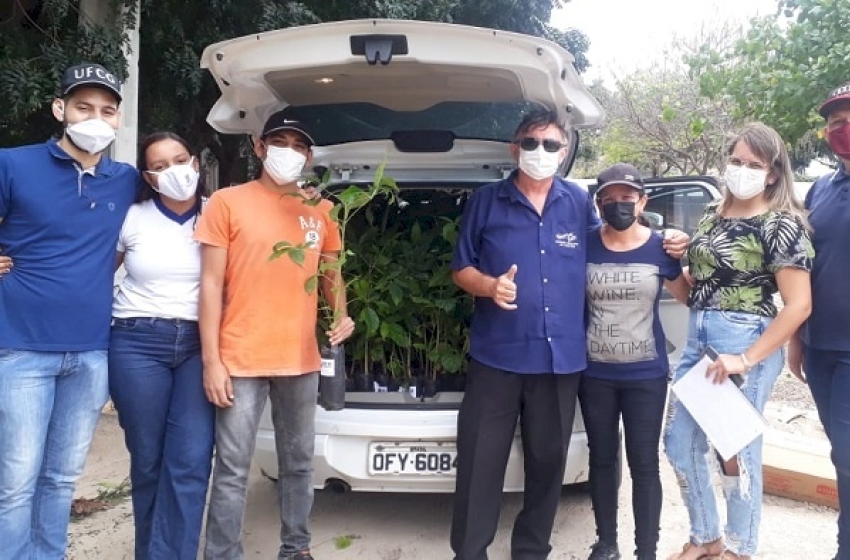 Planio de Ipês no pátio da ECIT Chiquinho Cartaxo 